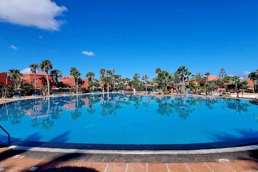 Appartamento Frangipani Con Terrazza E Piscina コラレホ エクステリア 写真