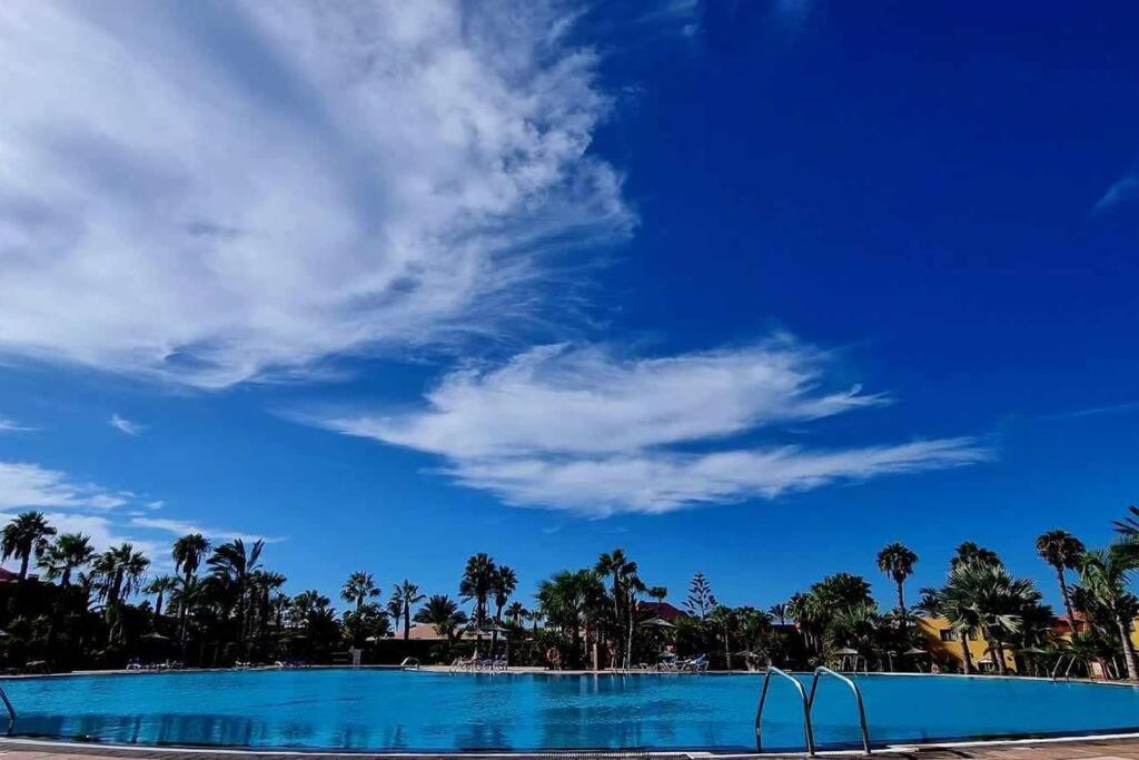 Appartamento Frangipani Con Terrazza E Piscina コラレホ エクステリア 写真